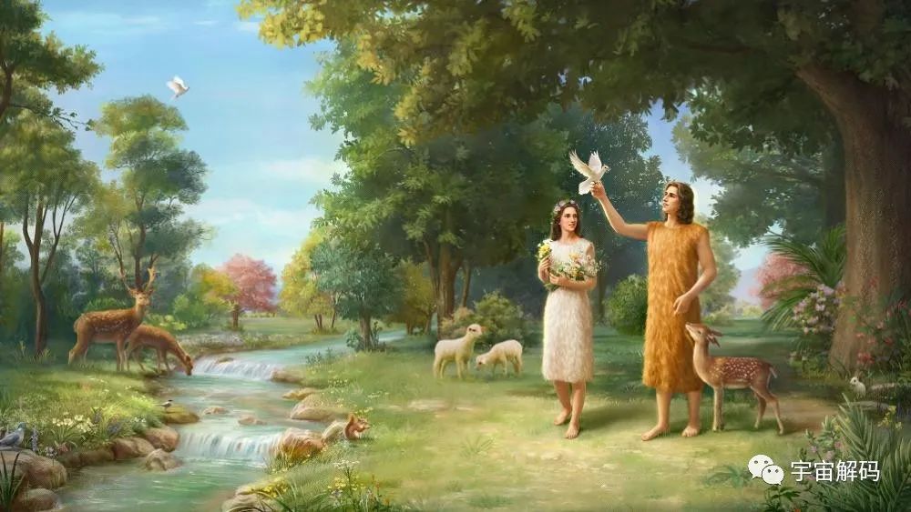 生命起源：地球上最初没有人，那第一位女人和男人是怎么诞生的？