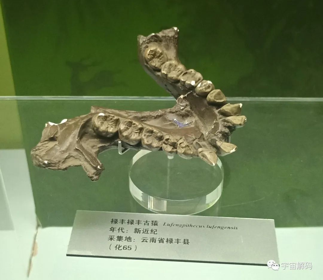 生命起源：地球上最初没有人，那第一位女人和男人是怎么诞生的？