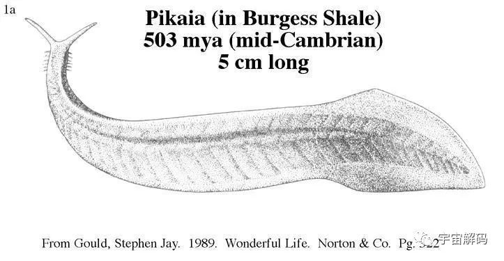 生命起源：地球上最初没有人，那第一位女人和男人是怎么诞生的？