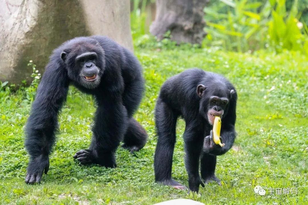 生命起源：地球上最初没有人，那第一位女人和男人是怎么诞生的？