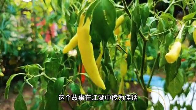 五个匪夷所思的奇闻异事，每个都让人不可思议