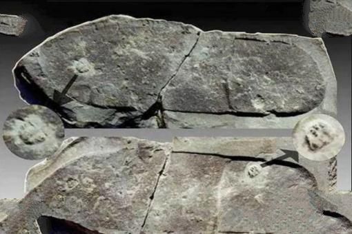 25亿年前芯片化石出土，引发思考人类或非首个地球文？